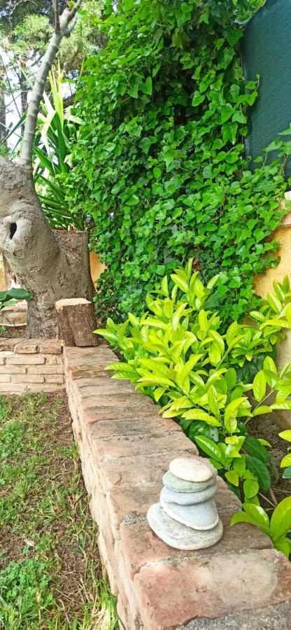 Mozart House Studio Amarynthos Exterior foto