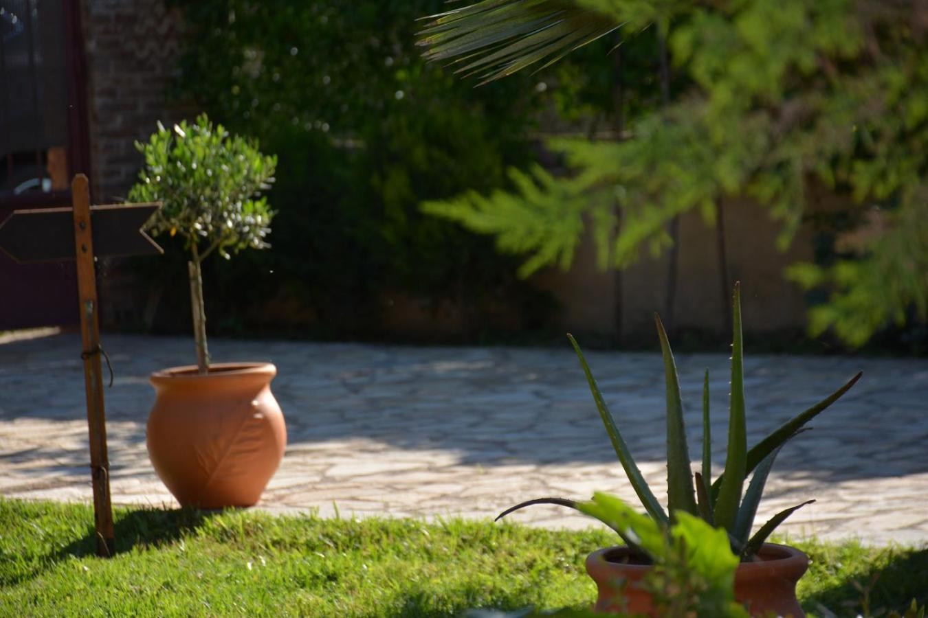 Mozart House Studio Amarynthos Exterior foto