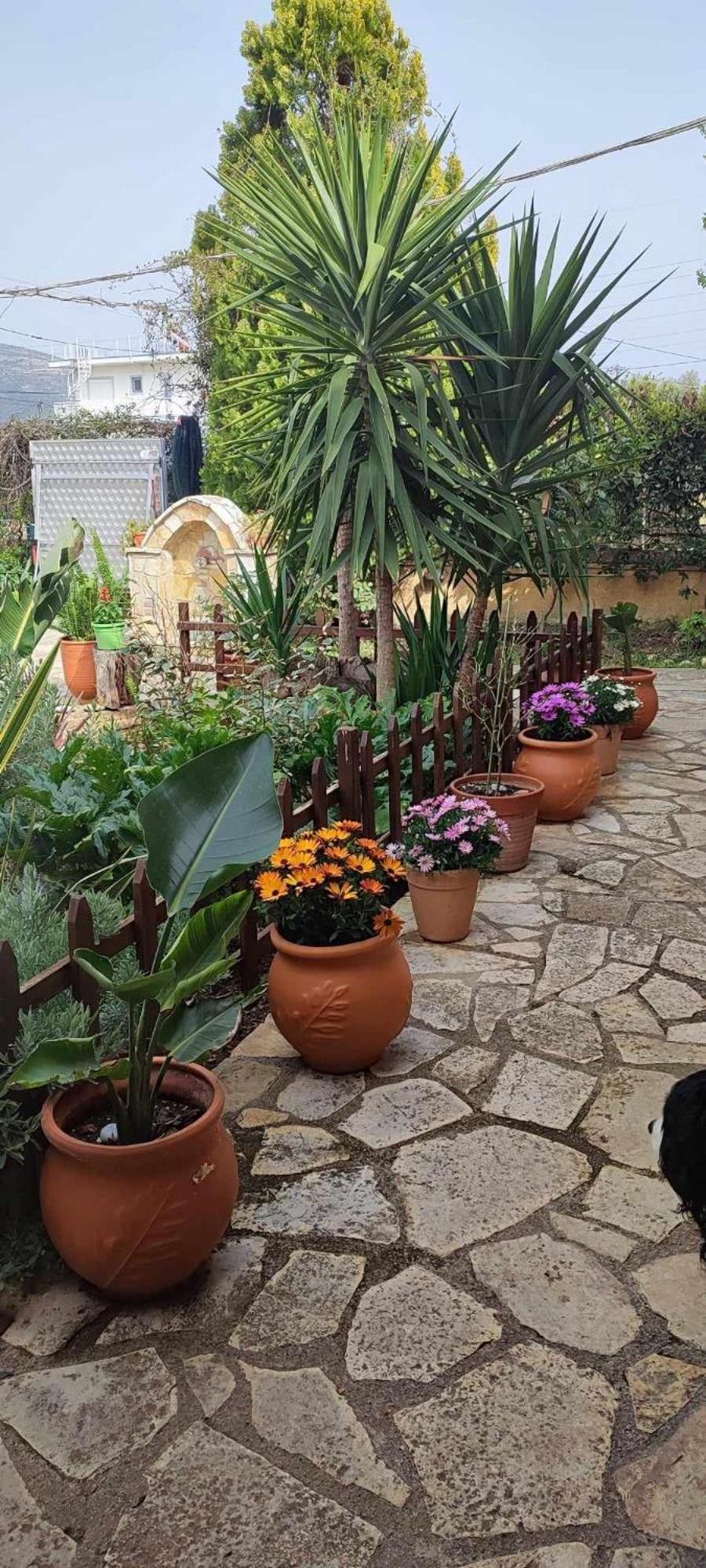 Mozart House Studio Amarynthos Exterior foto